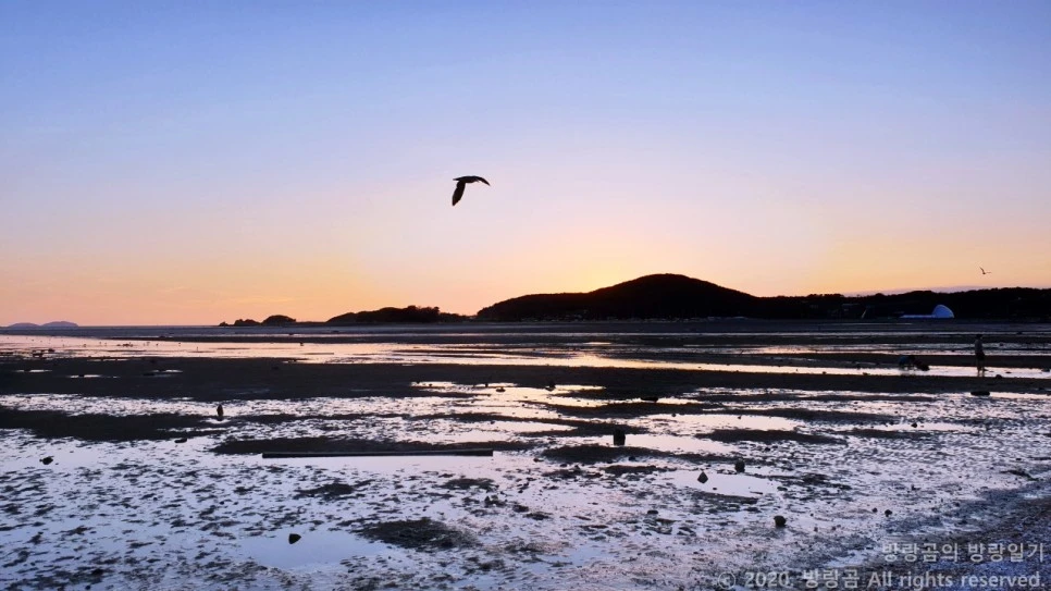 20200913_183533.jpg?type=w966