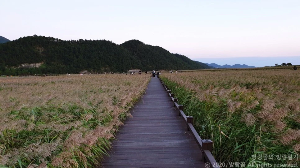 20201009_180801.jpg?type=w966