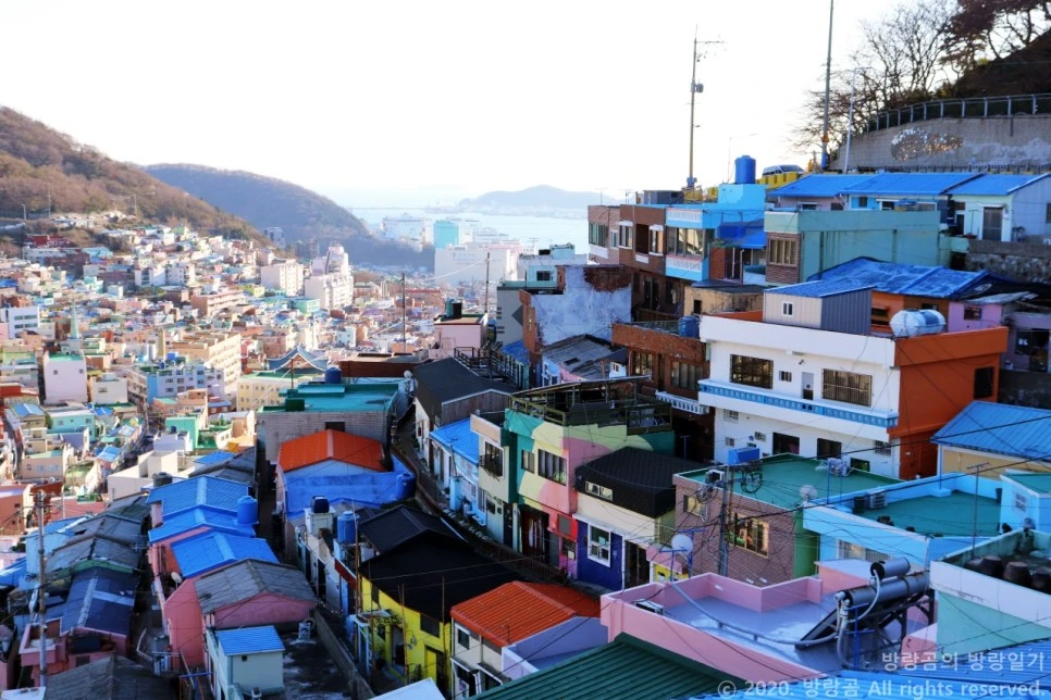 IMG_0039.JPG?type=w966