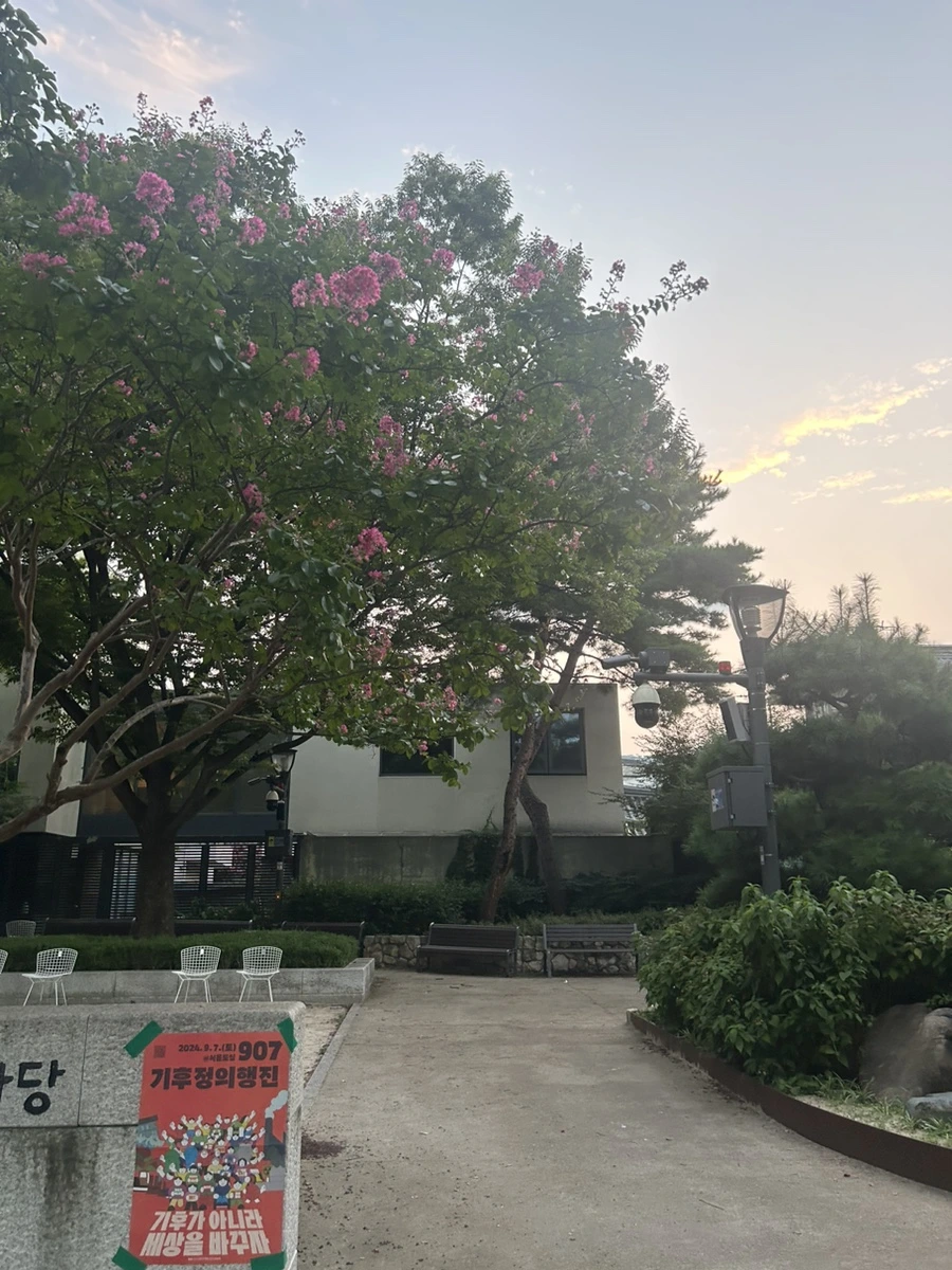 IMG_0584.jpg?type=w966