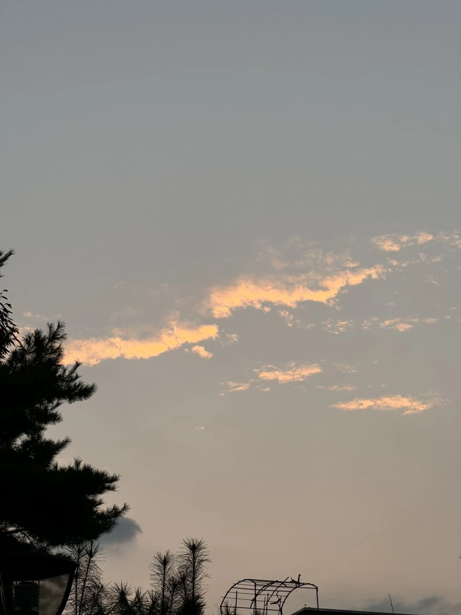 IMG_5417.jpg?type=w966