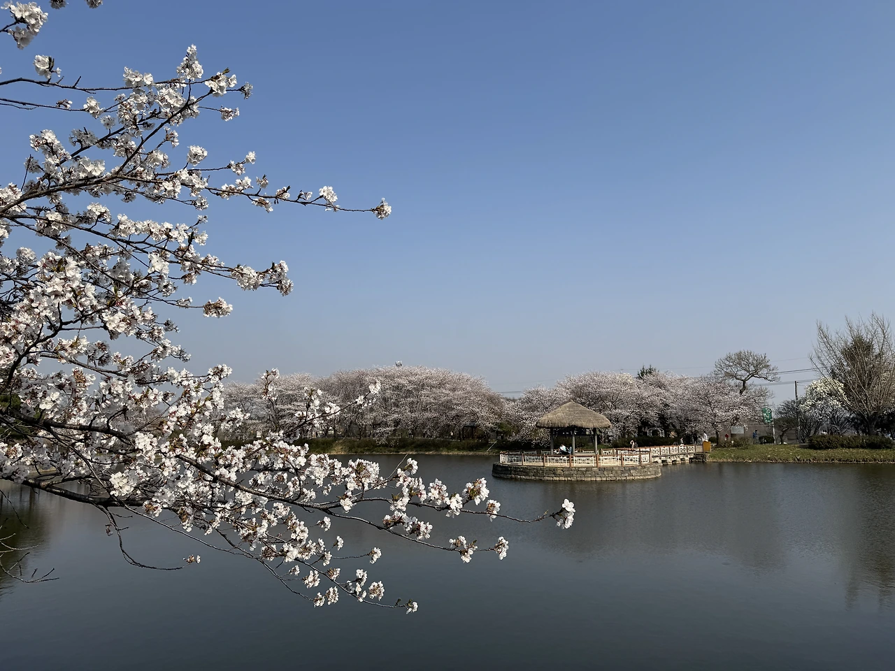 풍경2 - 복사본.JPG