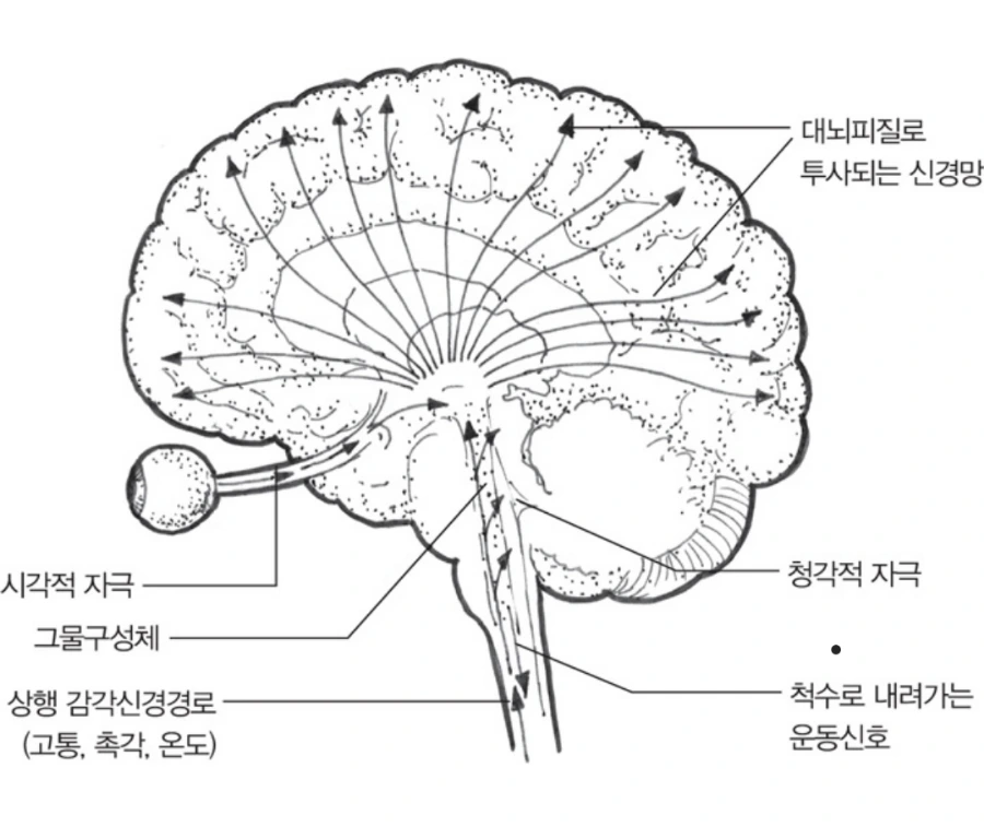 Screenshot%EF%BC%BF20240522%EF%BC%BF070059.png?type=w966