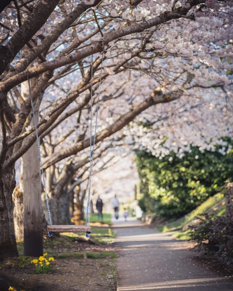 photo-1556767676-c80e71484347.jpg?type=w773