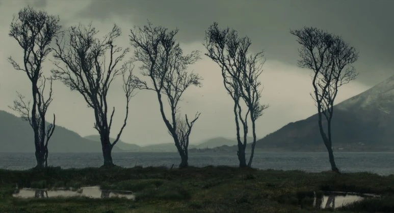 The.Danish.Girl.2015.1080p.BluRay.H264.AAC-RARBG.mp4_006681204.jpg?type=w773