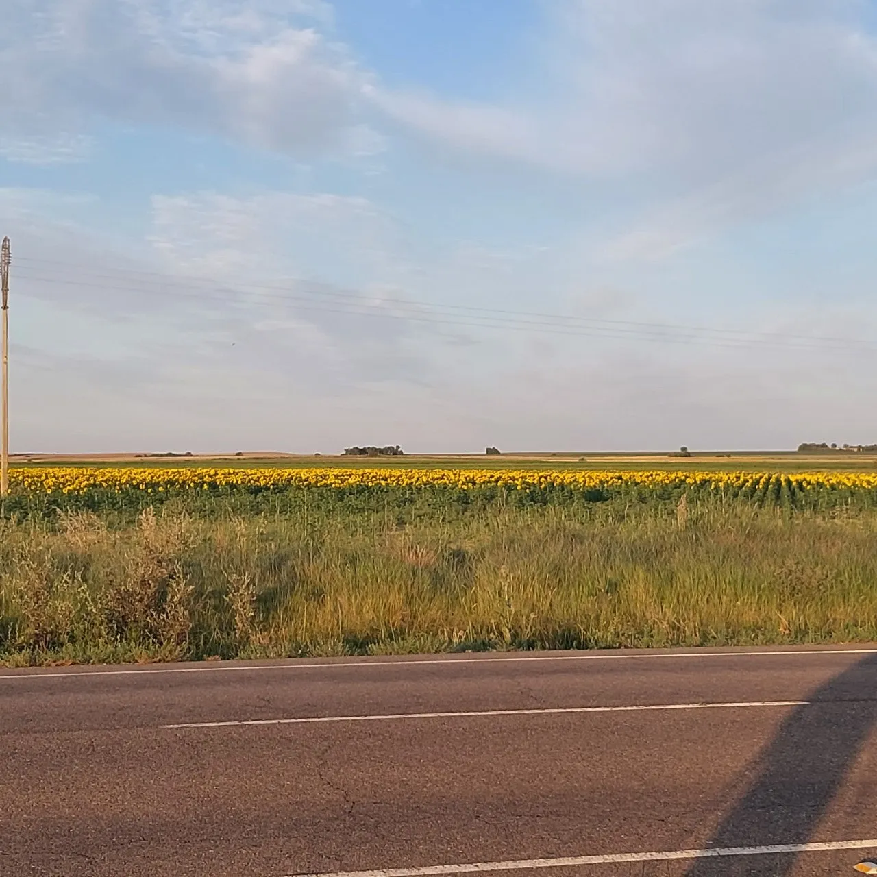 i_f5bUd018svcbdflnube1pwx_bc1i52.jpg?type=e1920_std