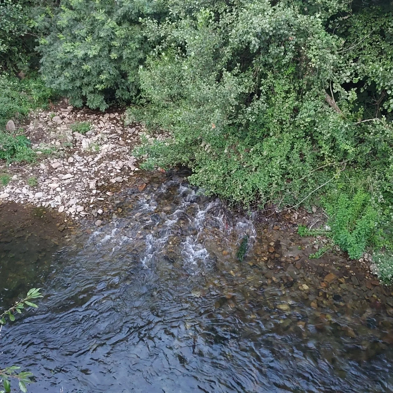 a_413Ud018svc1kukawqkuyamo_bc1i52.jpg?type=e1920_std