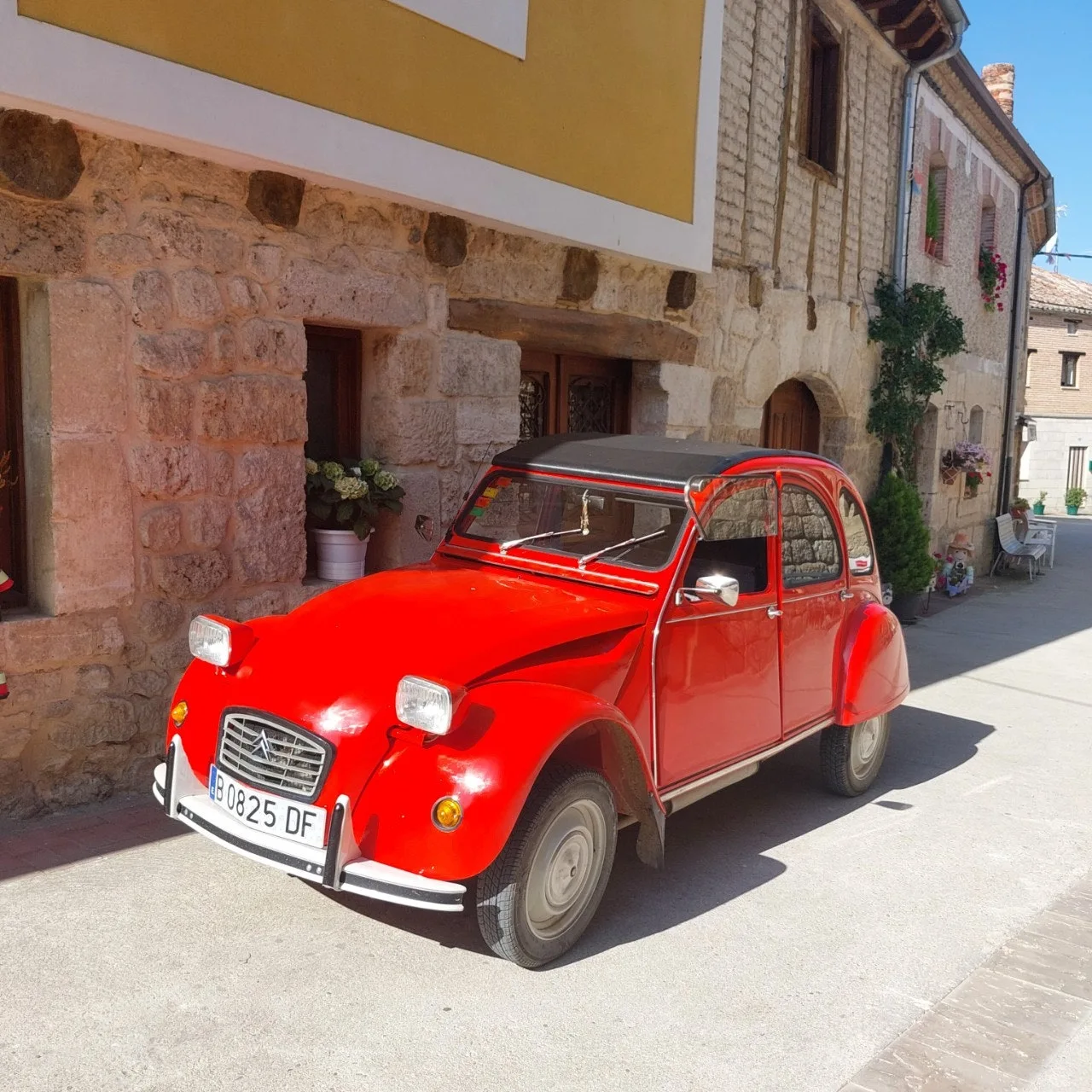 c_g86Ud018svcd00tl7cp0vrx_bc1i52.jpg?type=e1920_std