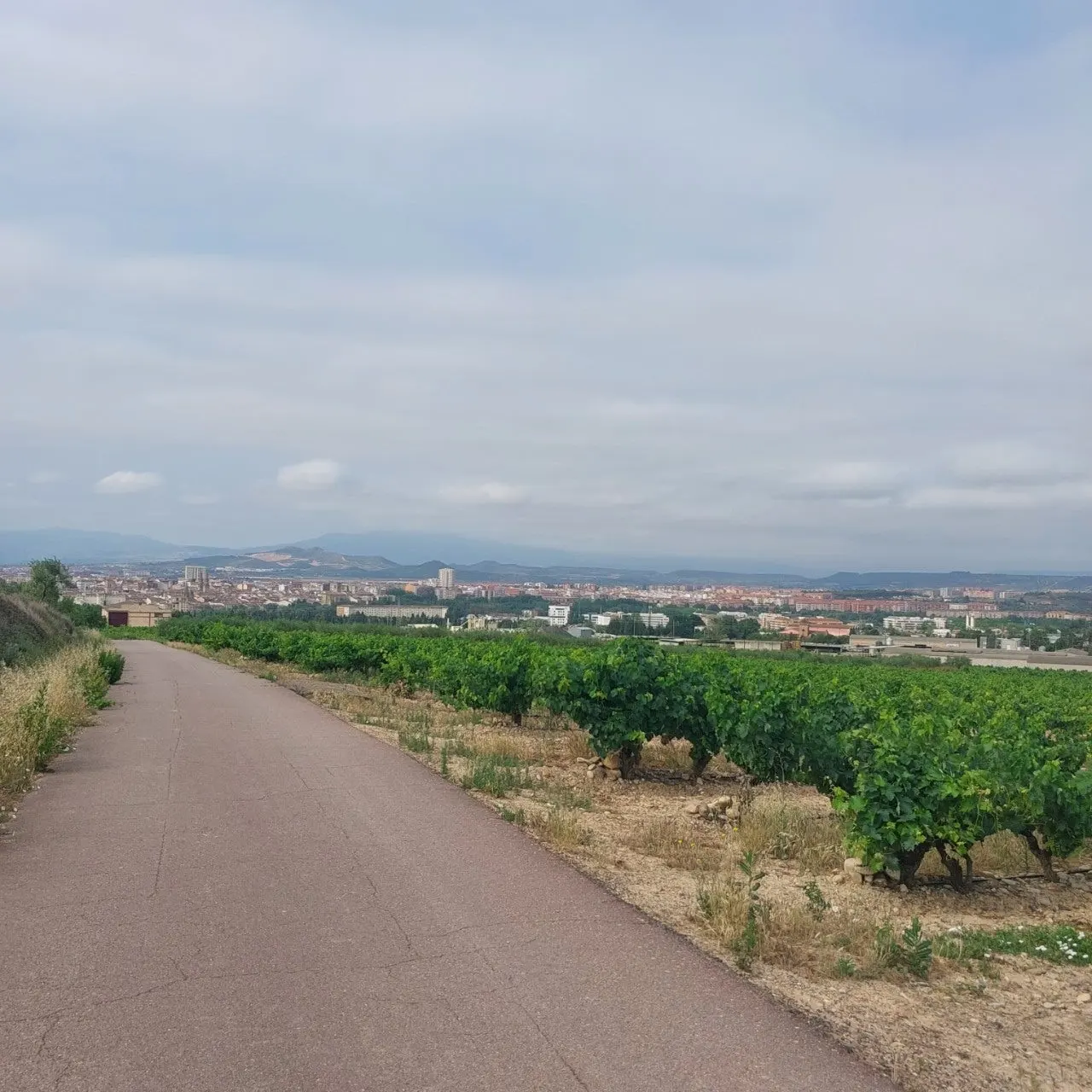 7_b76Ud018svc186006za62mrs_bc1i52.jpg?type=e1920_std