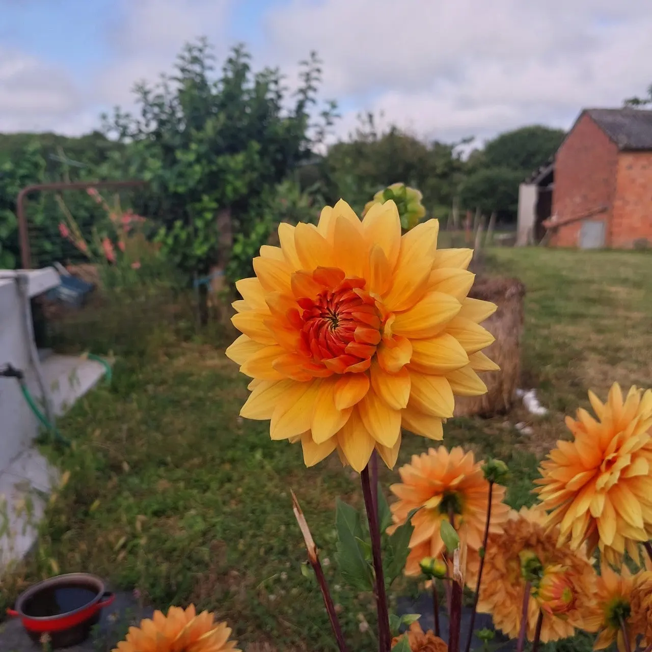 7_7hdUd018svcx1cpwft7xff1_bc1i52.jpg?type=e1920_std