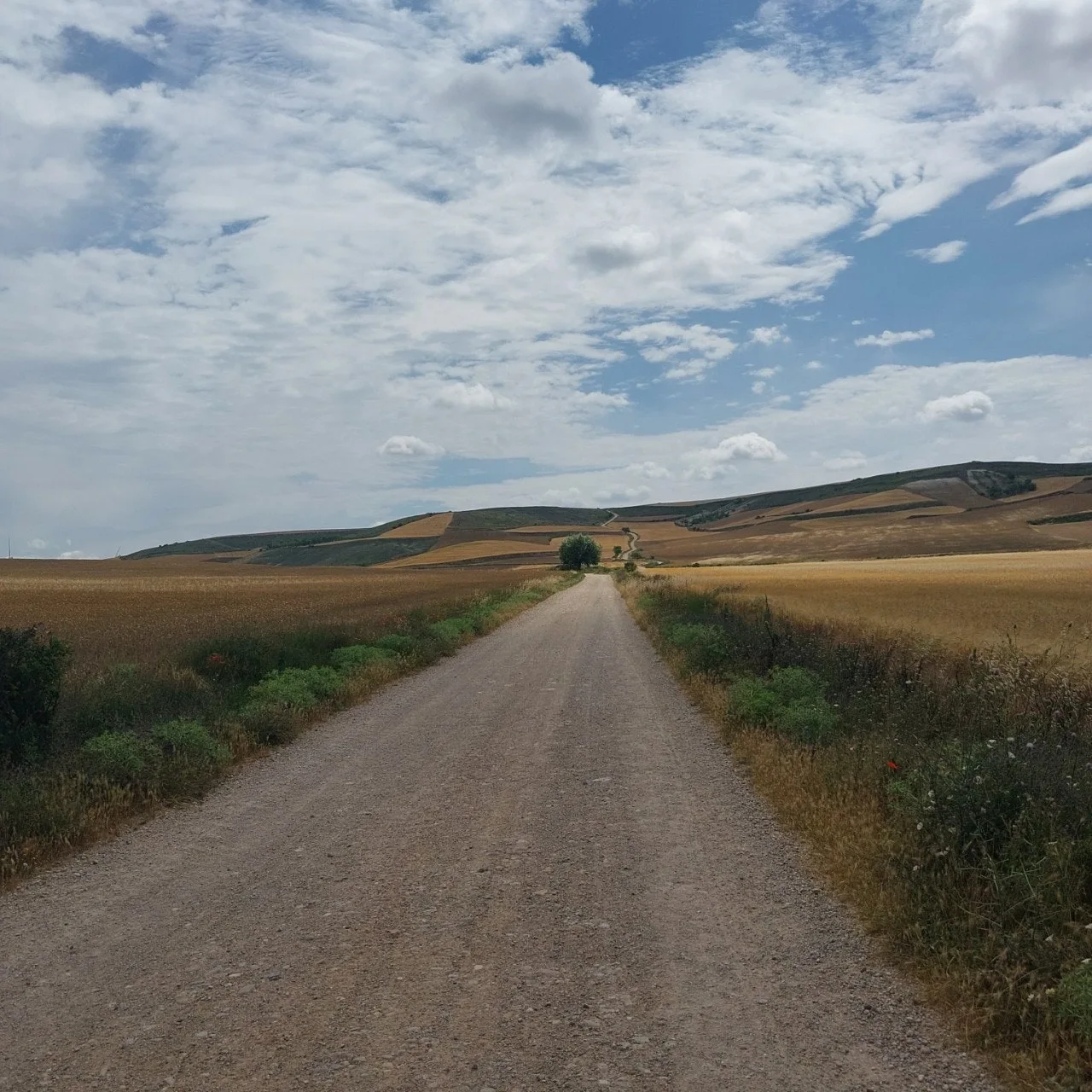 d_h0eUd018svc16durm012a9o8_bc1i52.jpg?type=e1920_std