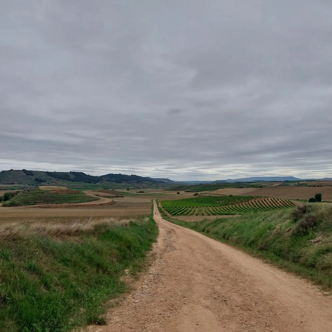 f_43cUd018svczayx6fbs6h2g_bc1i52.jpg?type=e1920_std