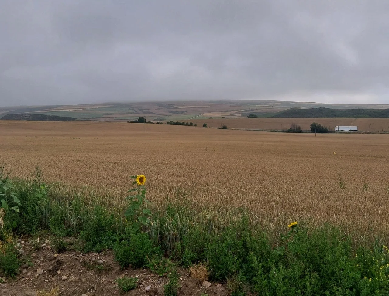 a_894Ud018svc1rcg3777vn9nd_bc1i52.jpg?type=e1920_std