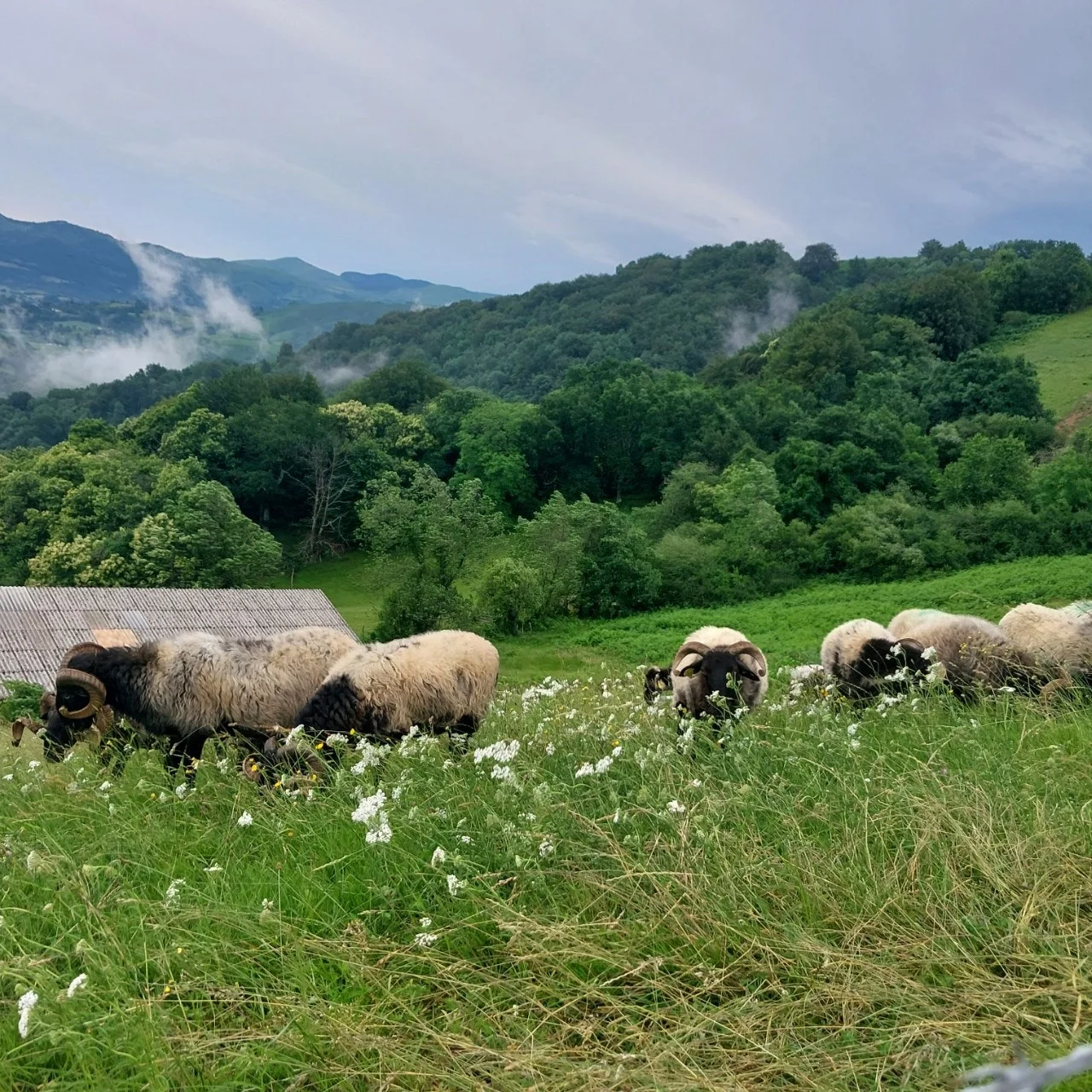 9_92fUd018svcxblvbtz6k6j_bc1i52.jpg?type=e1920_std