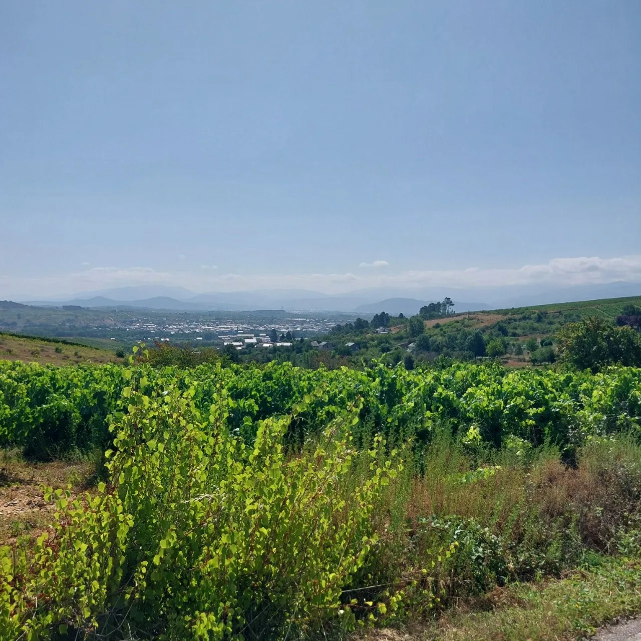 c_3h4Ud018svc9ys9y4o5hgv0_bc1i52.jpg?type=e1920_std