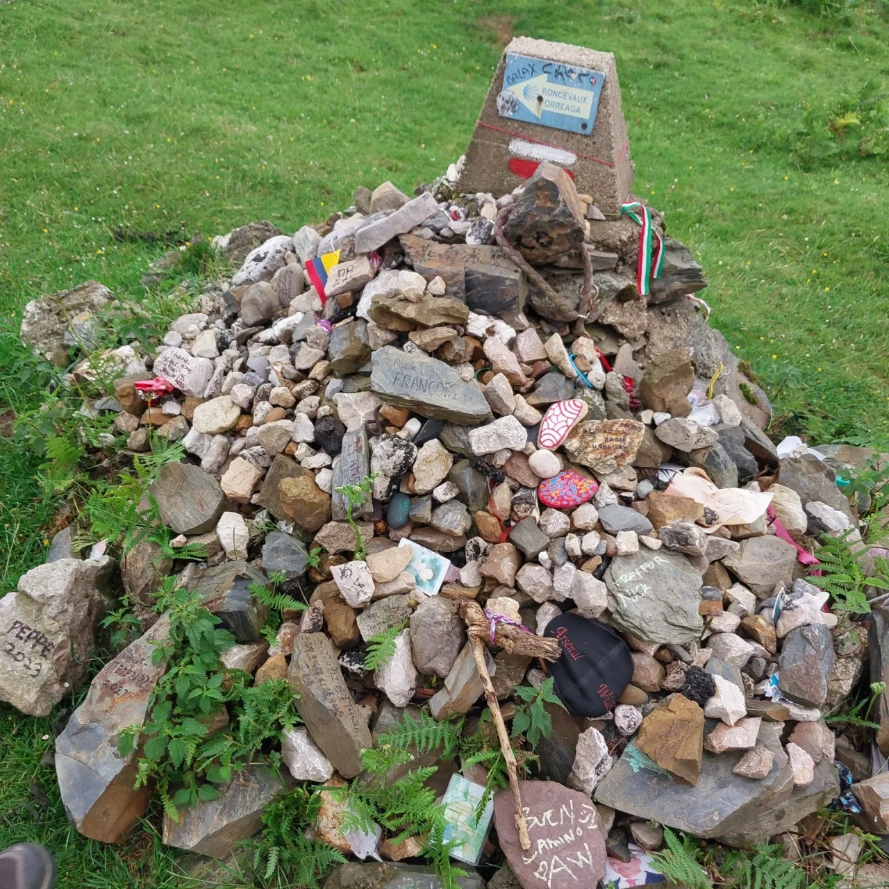 4_1bgUd018svc1hvgmzbqlgshg_bc1i52.jpg?type=e1920_std