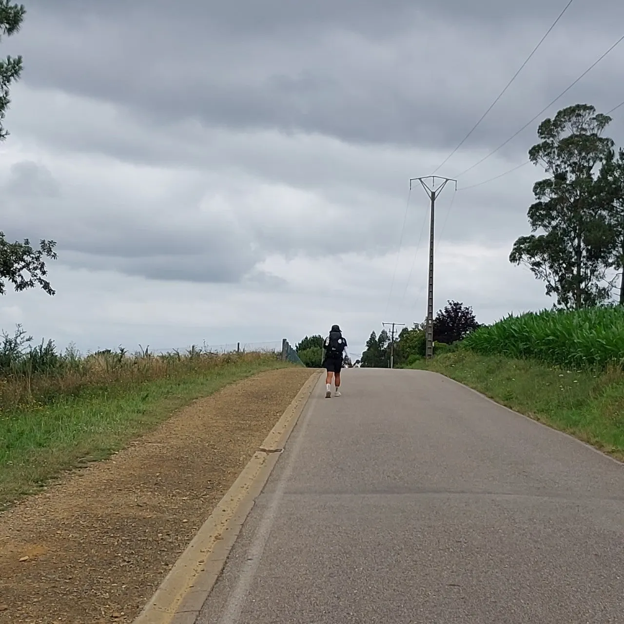 4_j1eUd018svc1nk1oz4j5em2w_bc1i52.jpg?type=e1920_std