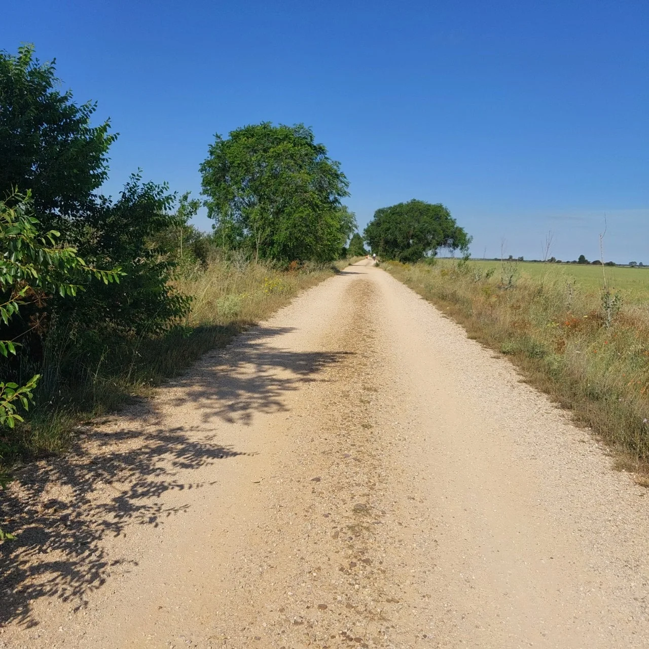 9_0b4Ud018svcsw2mck1zrv8n_bc1i52.jpg?type=e1920_std