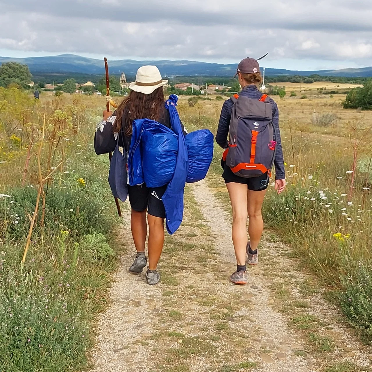 8_1a6Ud018svc1iqttvrujnexs_bc1i52.jpg?type=e1920_std