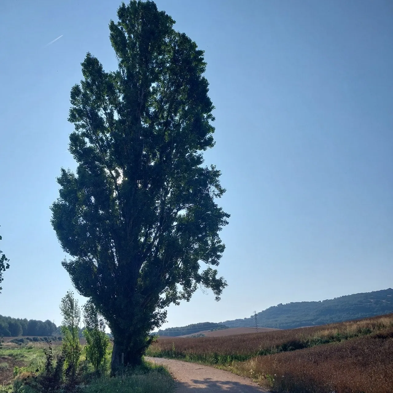 8_9c6Ud018svc1upc1xph50kjb_bc1i52.jpg?type=e1920_std