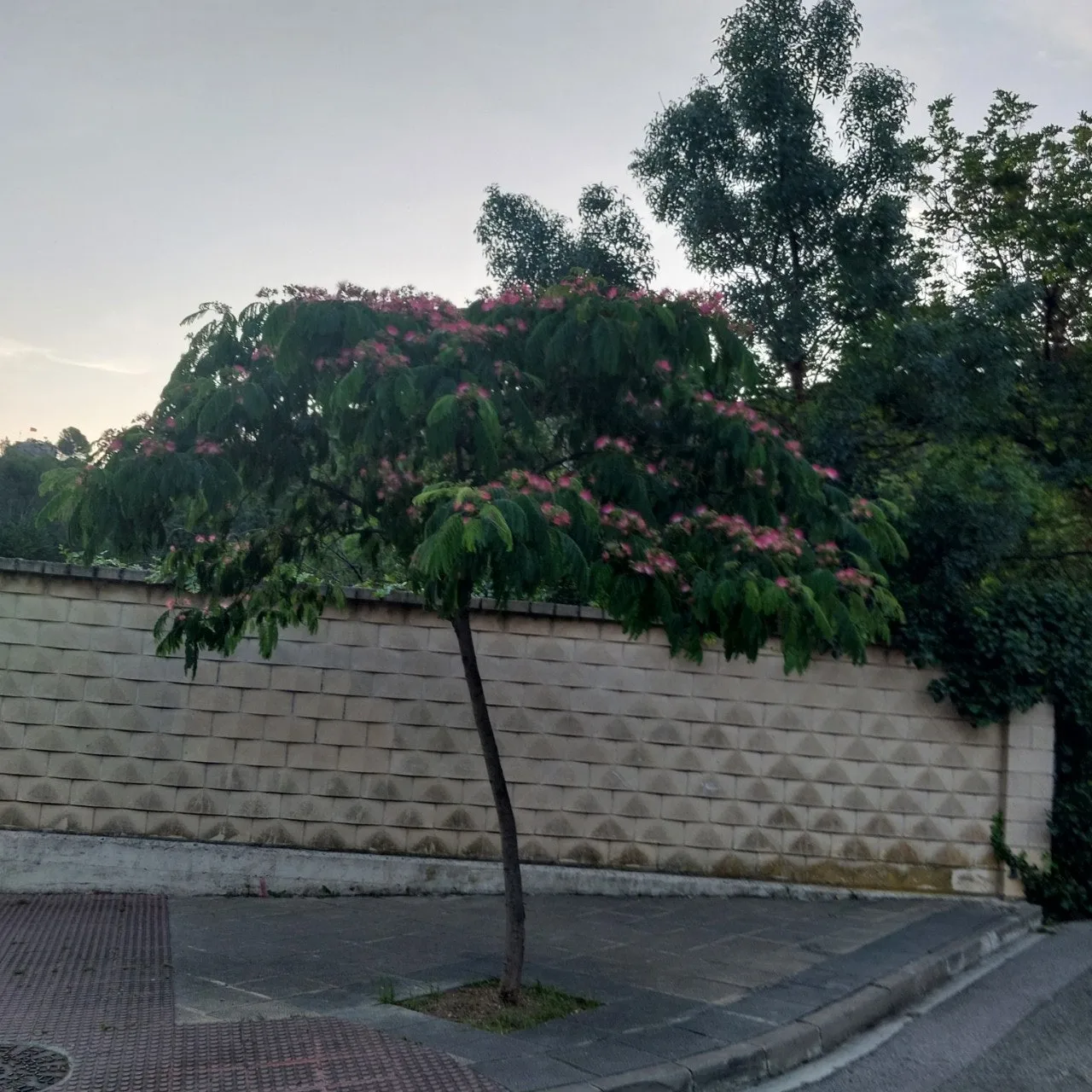 9_fe1Ud018svcejcpzn4wad2e_bc1i52.jpg?type=e1920_std