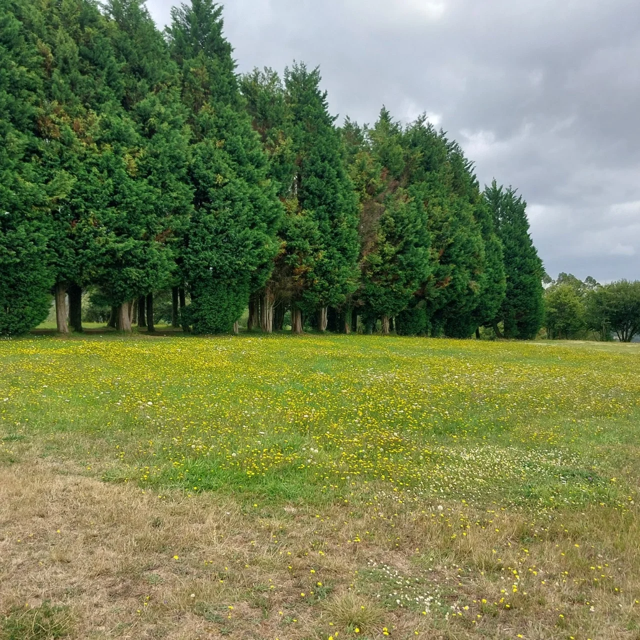 5_41eUd018svc1sm8gaxbvo3gn_bc1i52.jpg?type=e1920_std