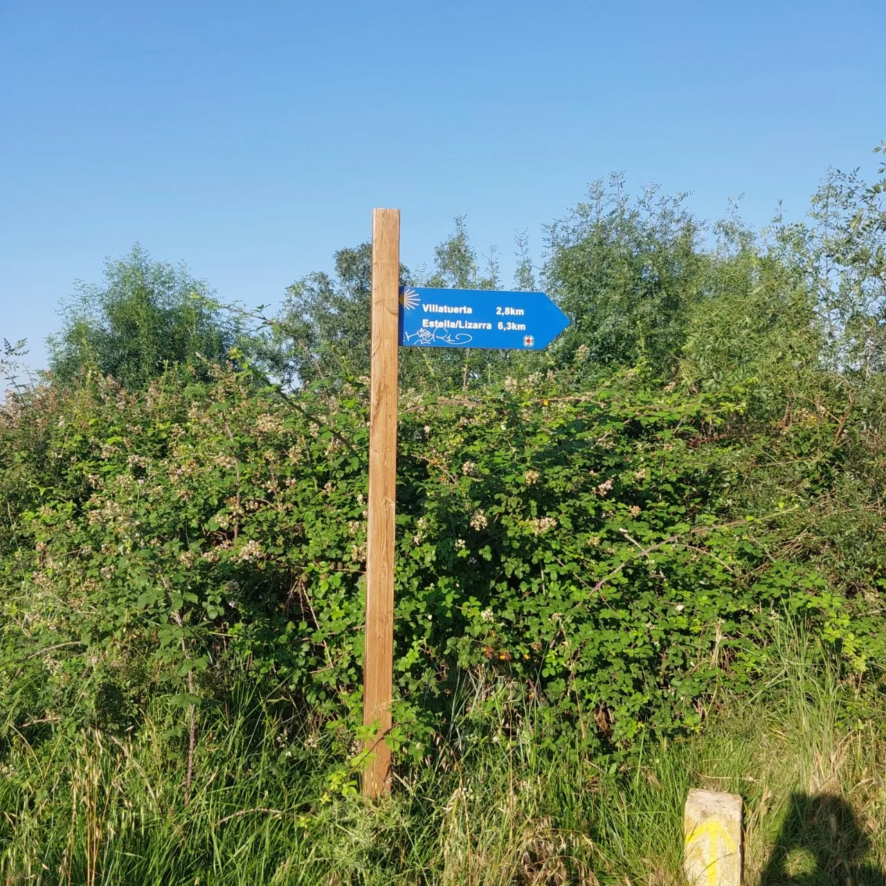 8_2c6Ud018svc1rmi8sy7zx90r_bc1i52.jpg?type=e1920_std