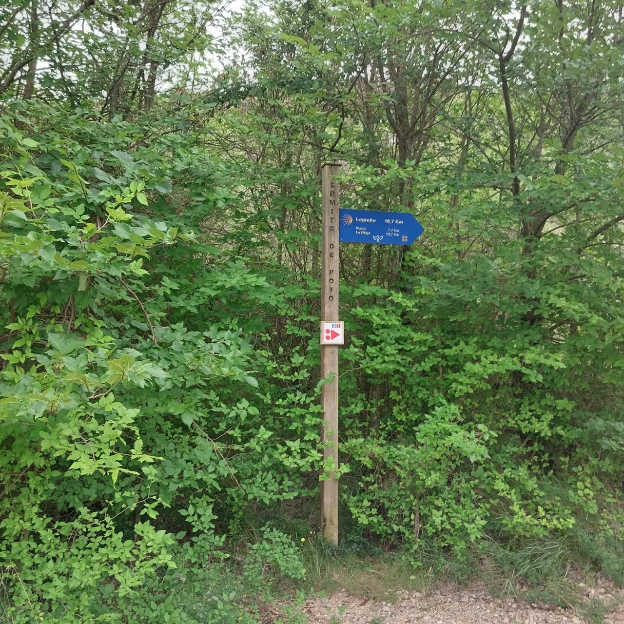 2_f4dUd018svckk4ox9wd847l_bc1i52.jpg?type=e1920_std