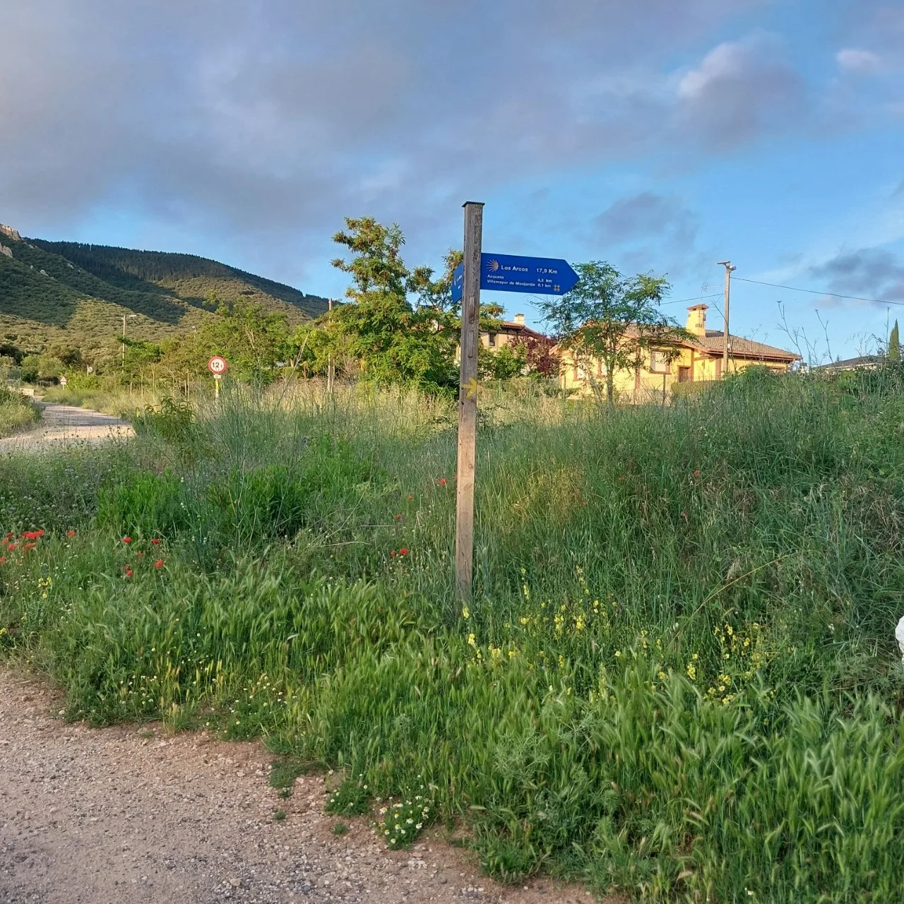 7_0e1Ud018svc6fmxbpcojwn4_bc1i52.jpg?type=e1920_std