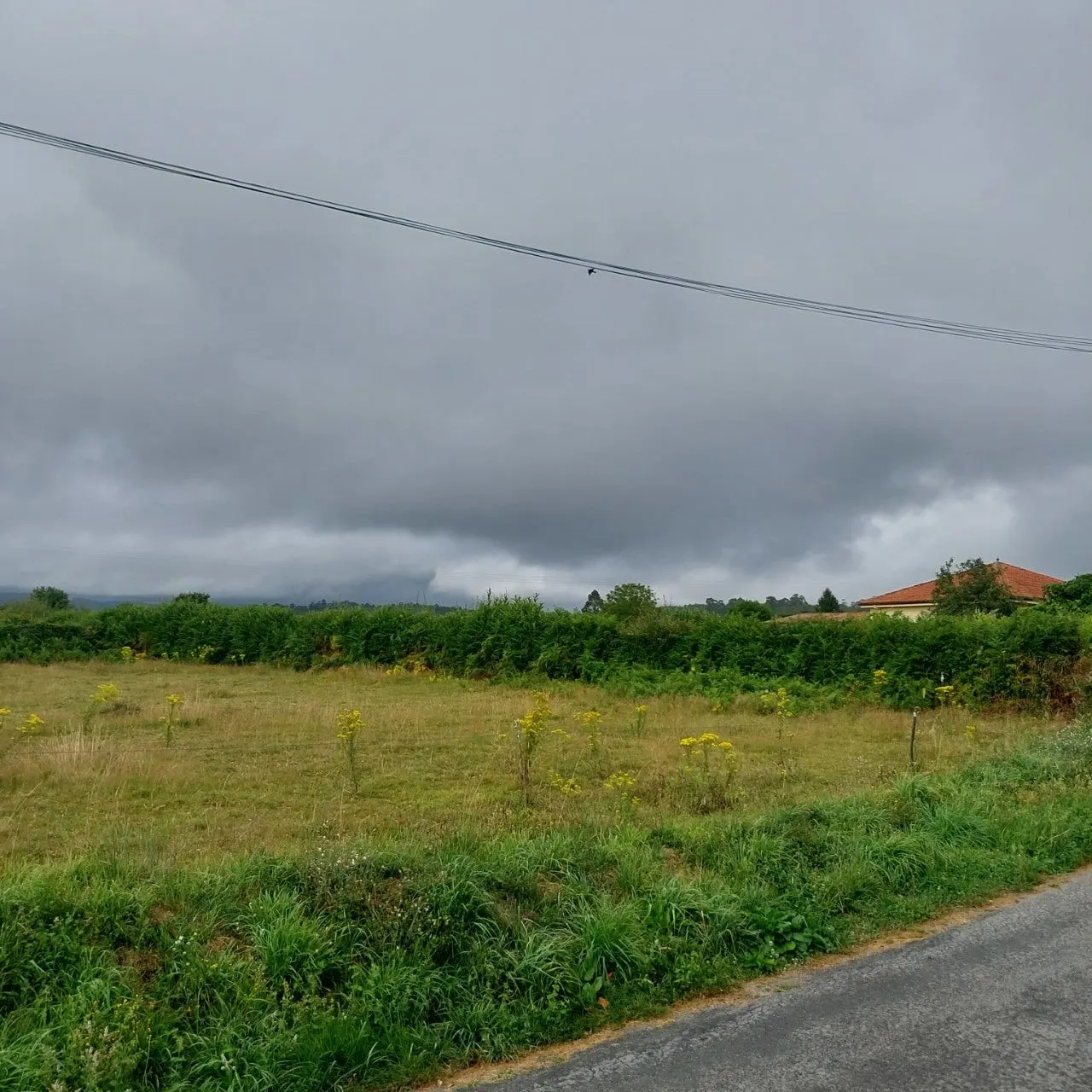 4_j67Ud018svc1lbq2wzaogv83_bc1i52.jpg?type=e1920_std