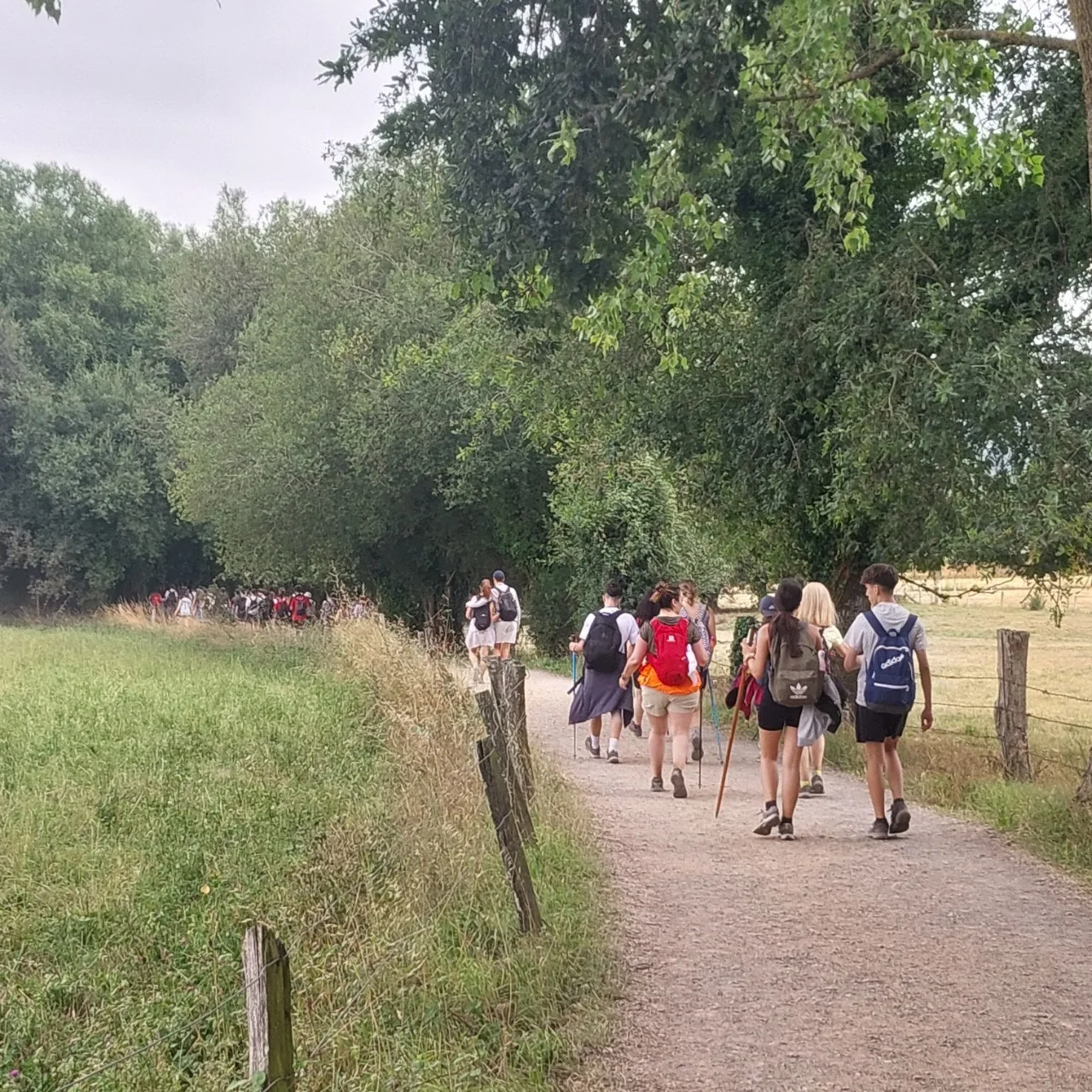 3_62cUd018svc8kaitlnhkni2_bc1i52.jpg?type=e1920_std