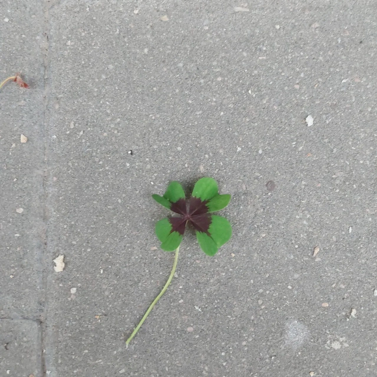 h_43cUd018svc1dbcmdvjxh1zu_bc1i52.jpg?type=e1920_std