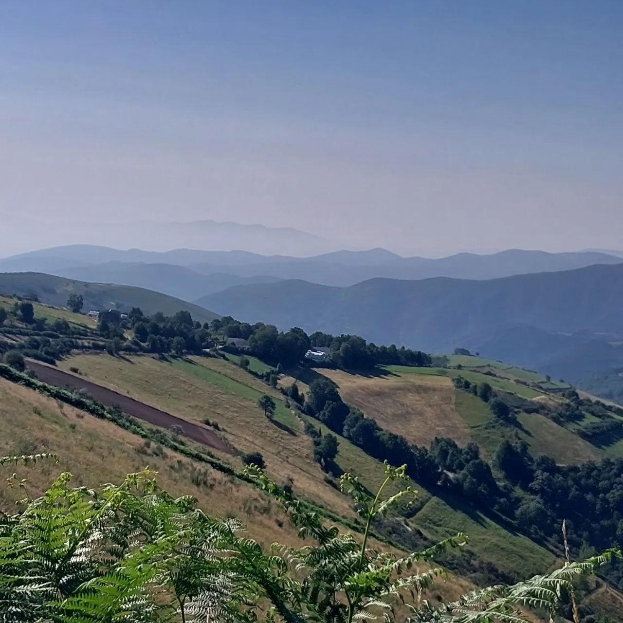 f_4a4Ud018svcnkn5fezdixjg_bc1i52.jpg?type=e1920_std