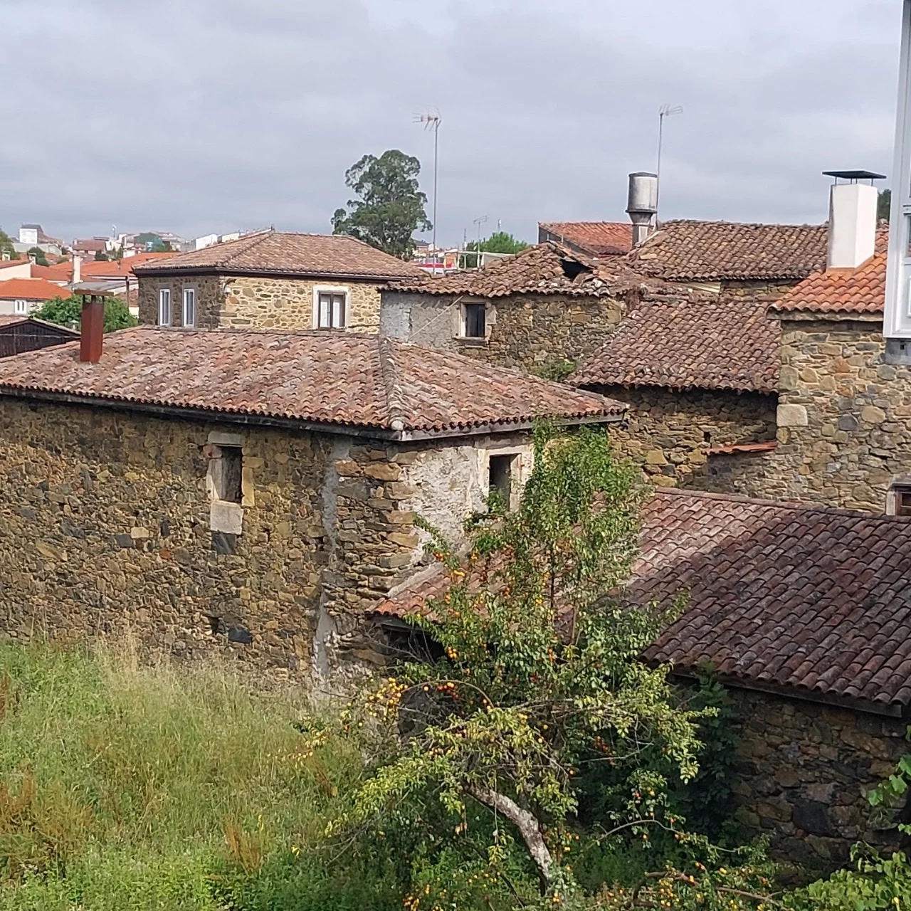 h_65jUd018svciqop10rey70h_bc1i52.jpg?type=e1920_std