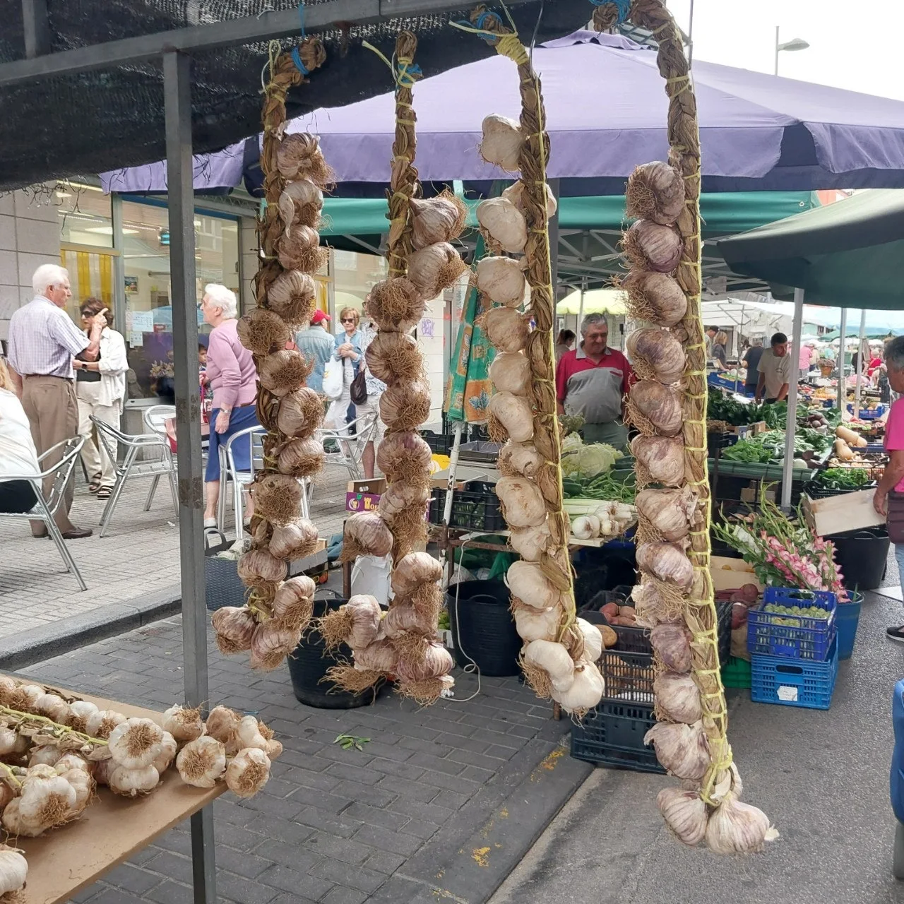 8_8abUd018svchrv8zugdy1v5_bc1i52.jpg?type=e1920_std