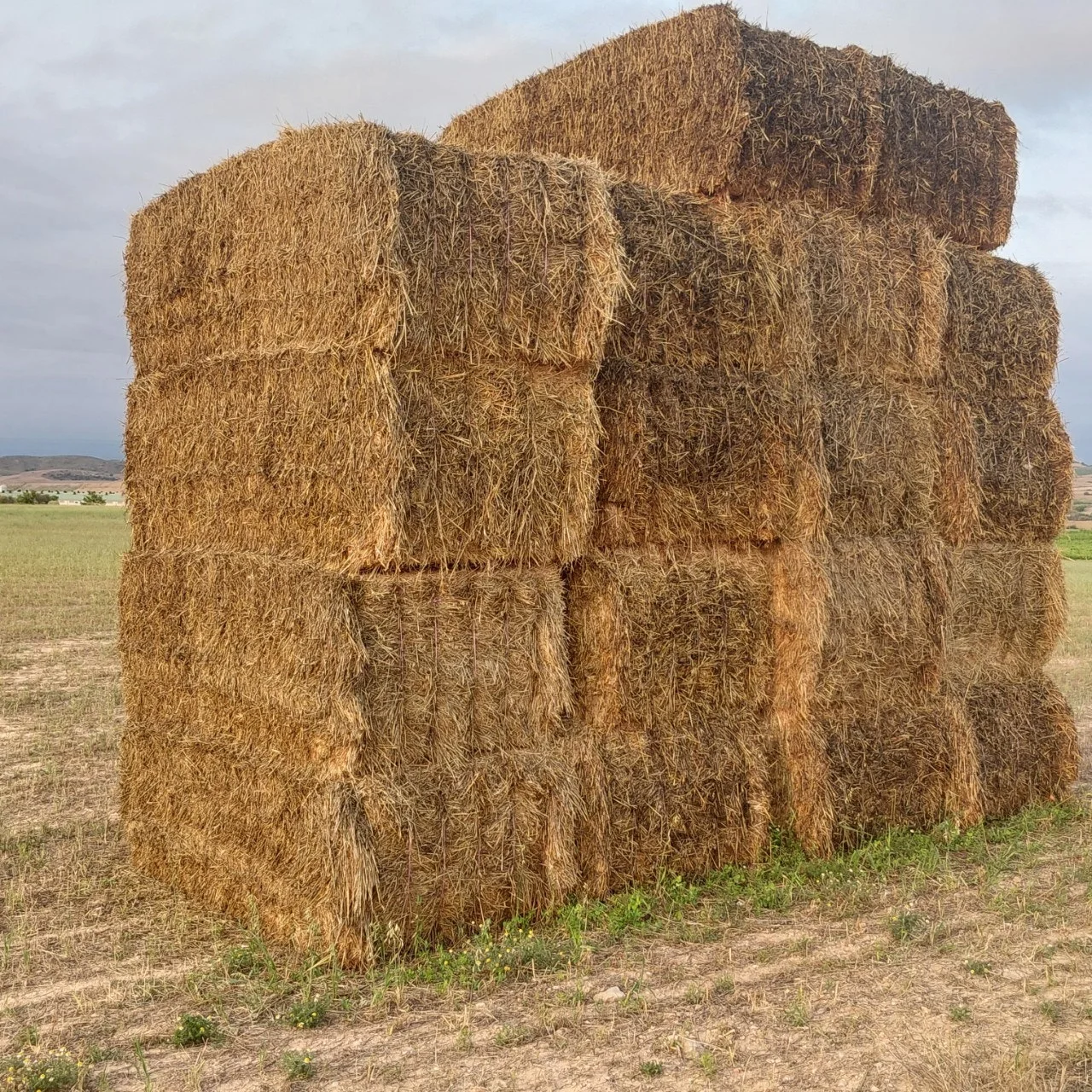 2_84dUd018svcda5k5l5xavlm_bc1i52.jpg?type=e1920_std