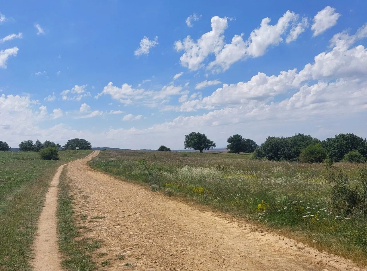 7_794Ud018svc14sxmirbvamef_bc1i52.jpg?type=e1920_std