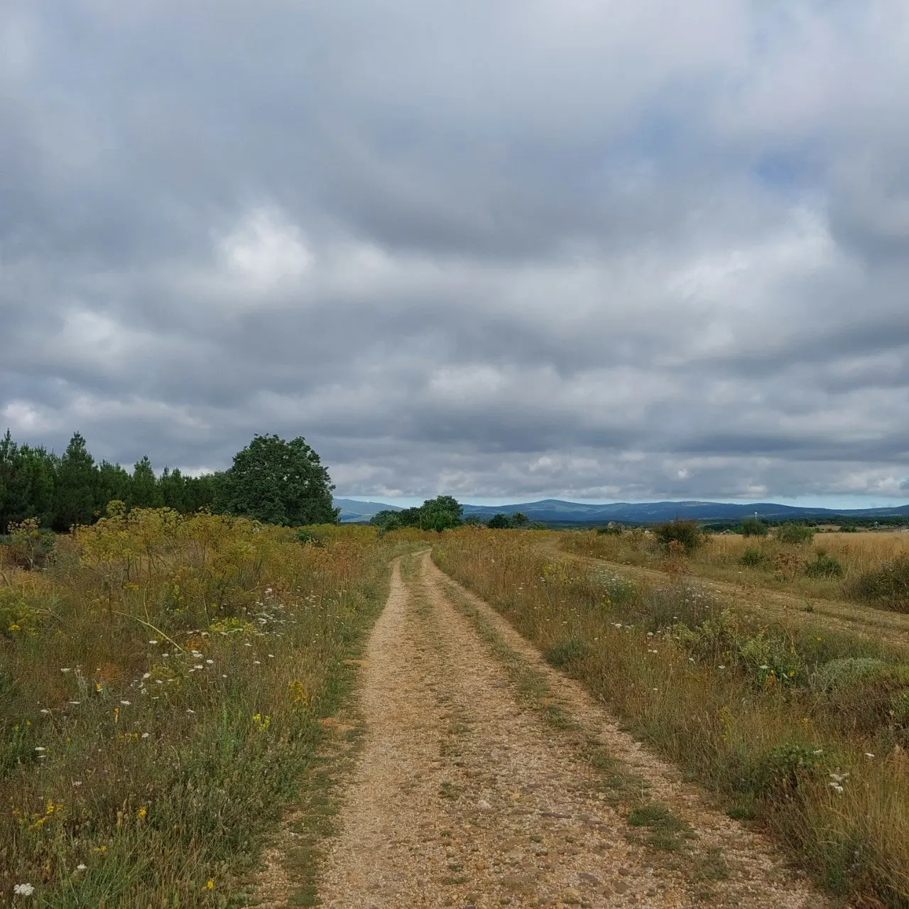 7_ia6Ud018svc19h44gwri7y23_bc1i52.jpg?type=e1920_std