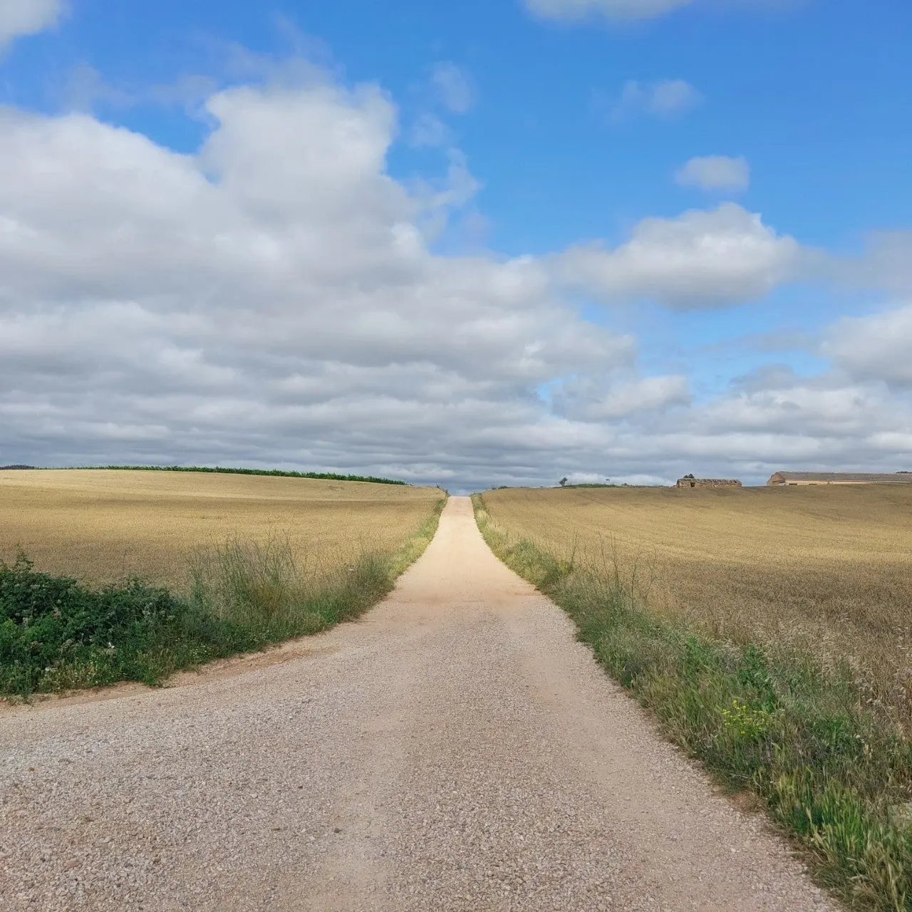 c_ce1Ud018svcn0effqh5hb7a_bc1i52.jpg?type=e1920_std