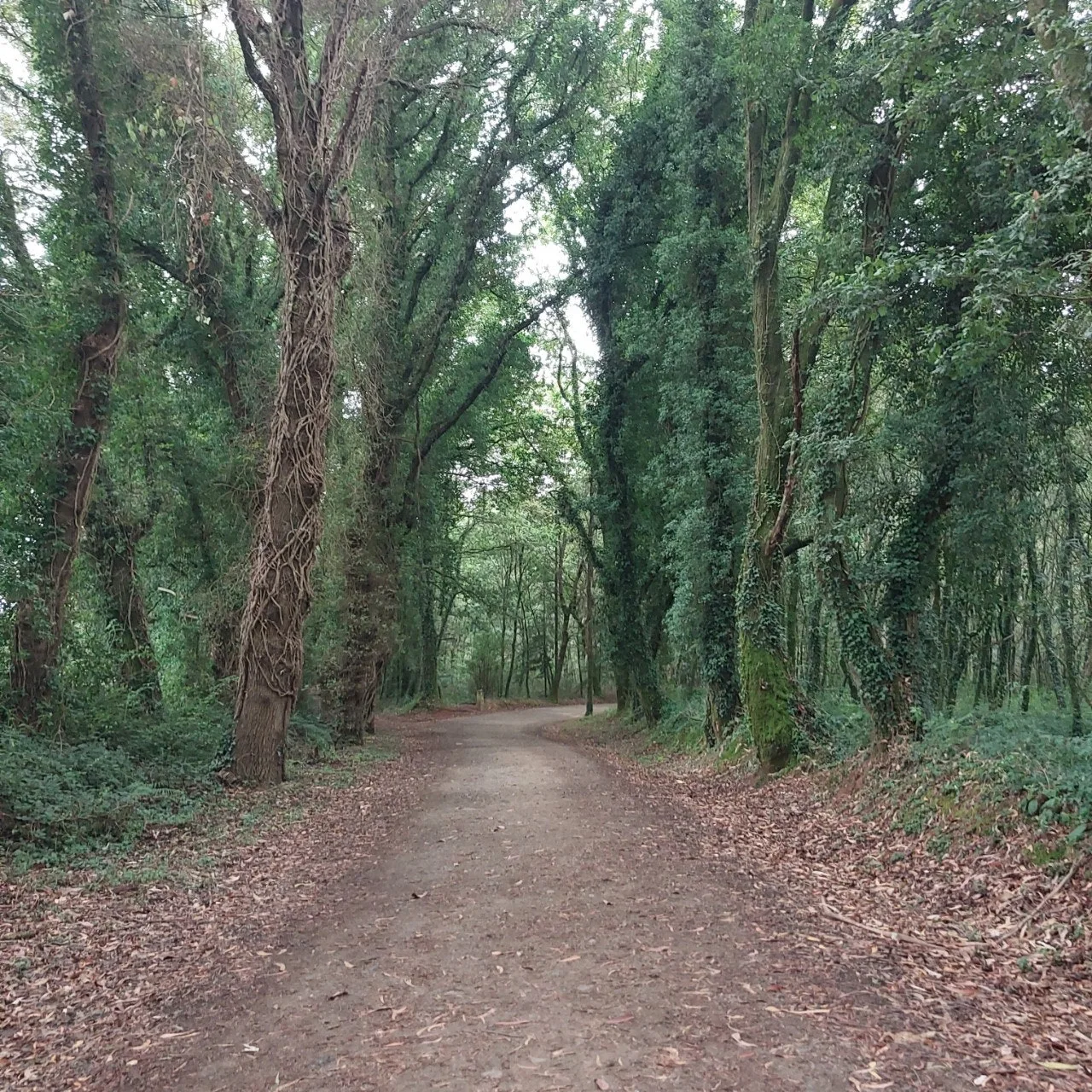 i_jd3Ud018svckg2mt965lqu4_bc1i52.jpg?type=e1920_std