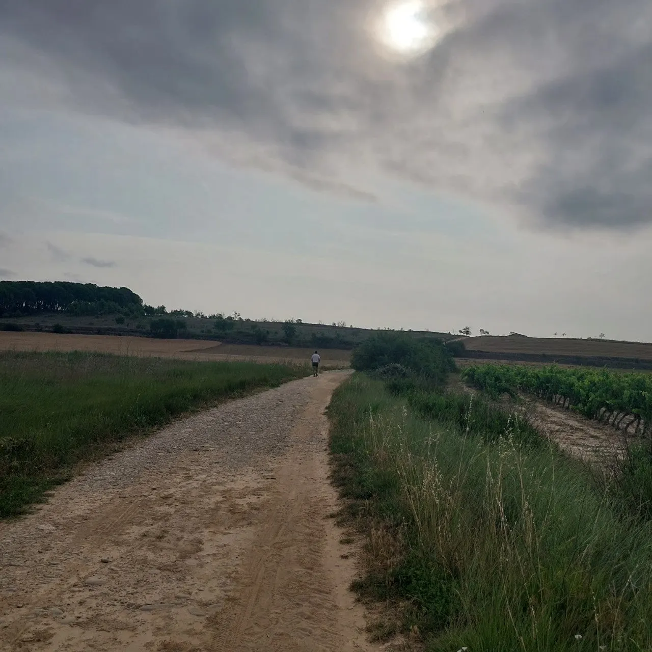 6_e76Ud018svc1n2zvn8b1dra9_bc1i52.jpg?type=e1920_std