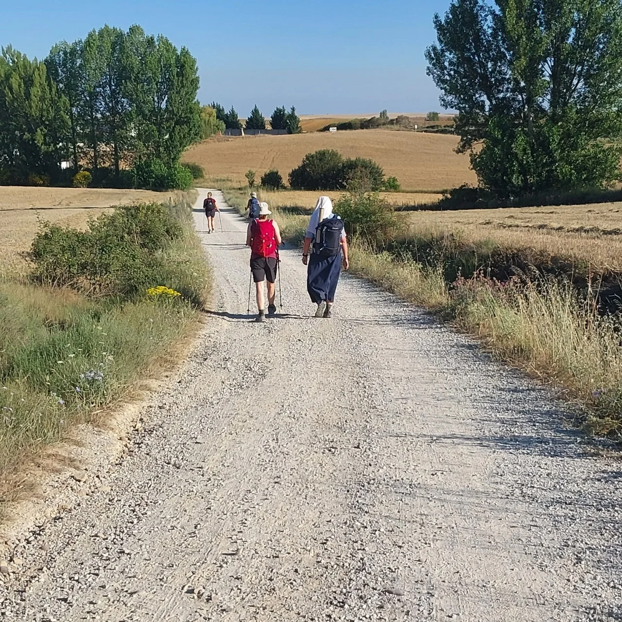 7_2bhUd018svcl6xuenm2btkd_bc1i52.jpg?type=e1920_std