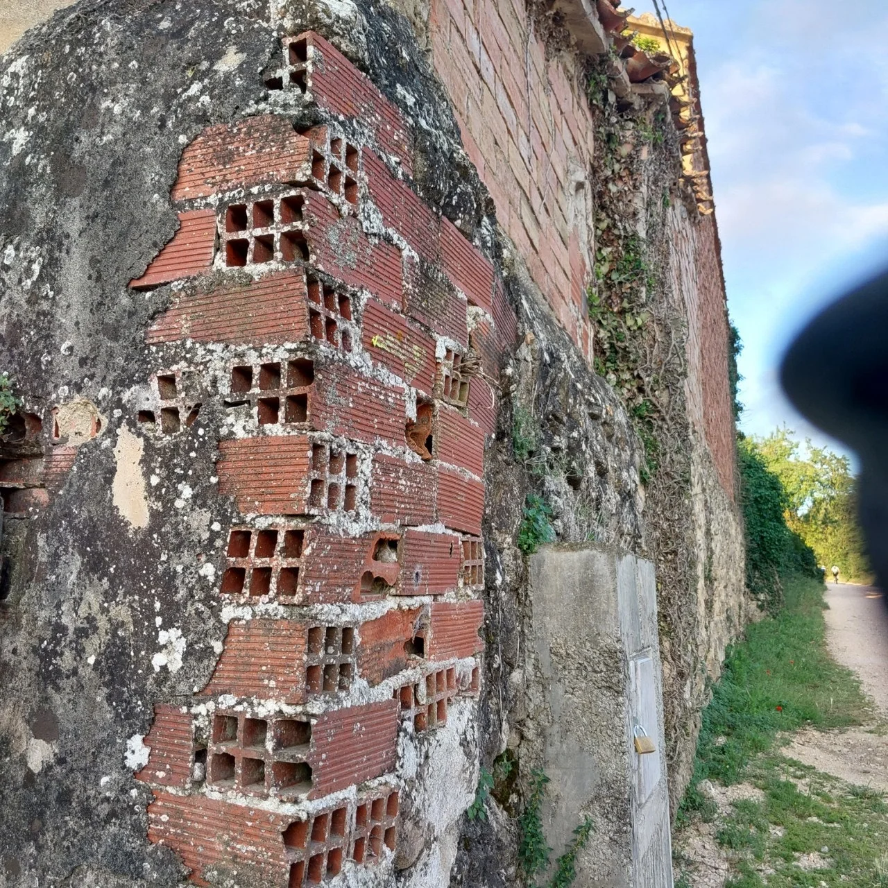 6_fe1Ud018svc147z0oyihhcxx_bc1i52.jpg?type=e1920_std