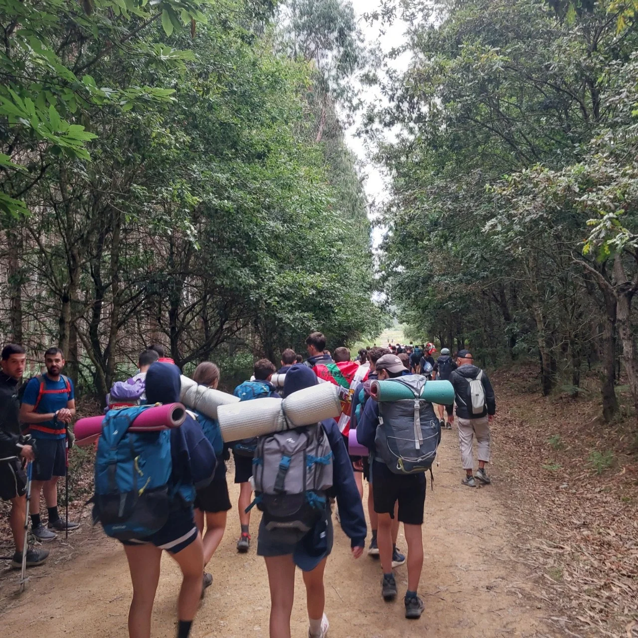 3_c1eUd018svczk1na1yxq5pj_bc1i52.jpg?type=e1920_std