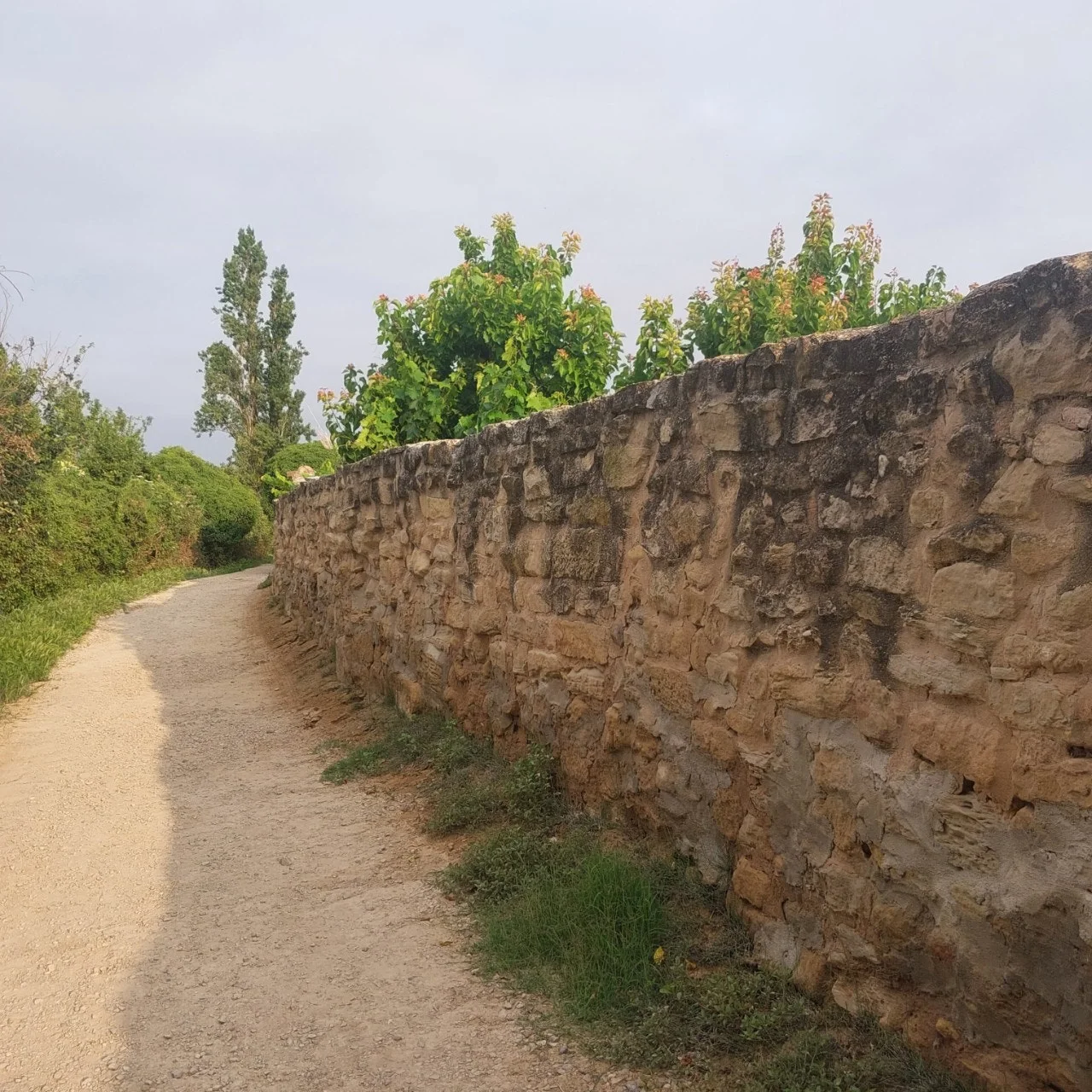 a_176Ud018svcwrwlmyf42r9z_bc1i52.jpg?type=e1920_std