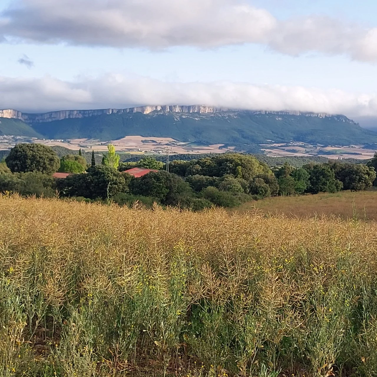 7_8e1Ud018svc53qmfmgmyge0_bc1i52.jpg?type=e1920_std