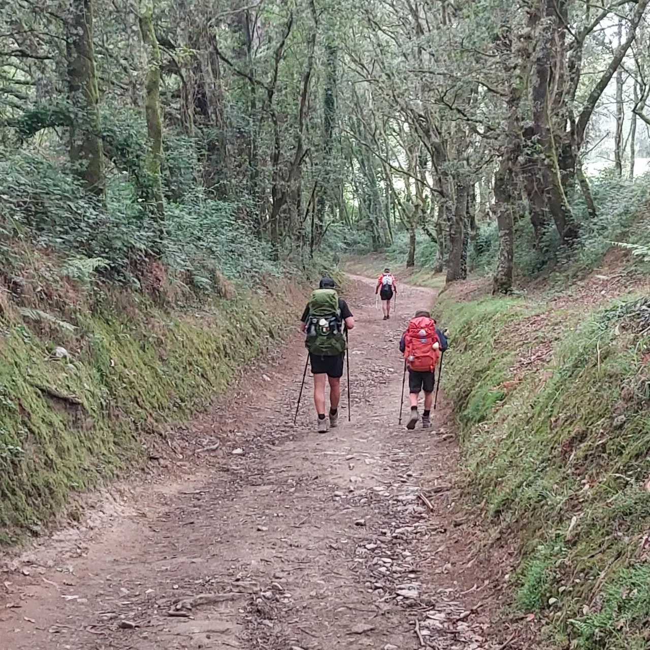 j_3d3Ud018svc10uunmvfqabfn_bc1i52.jpg?type=e1920_std