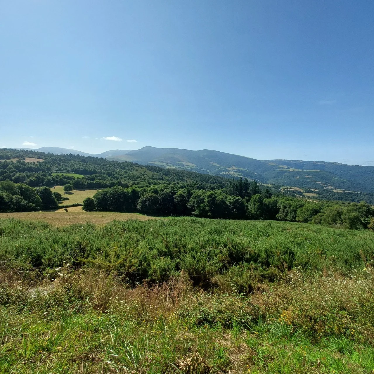 a_5i6Ud018svcukoaggrkwwj6_bc1i52.jpg?type=e1920_std