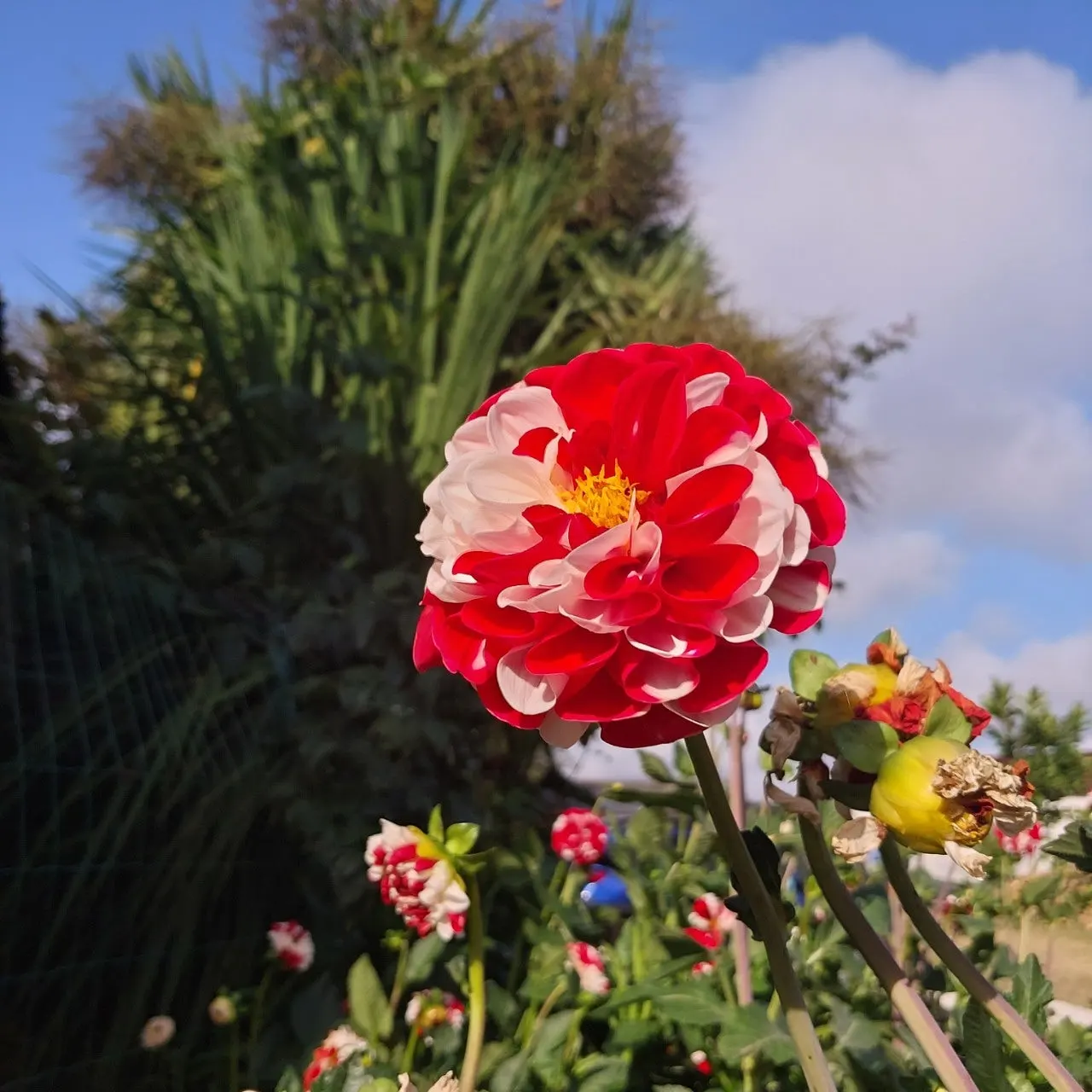 7_bhdUd018svc596a1r739t4i_bc1i52.jpg?type=e1920_std