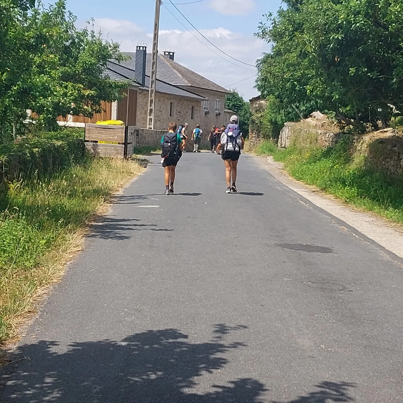 3_j2cUd018svc1qr31pxt8w0ew_bc1i52.jpg?type=e1920_std